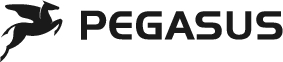Pegasus