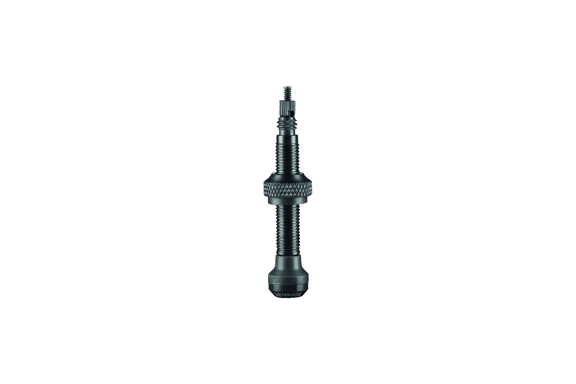 Tubeless Ventil