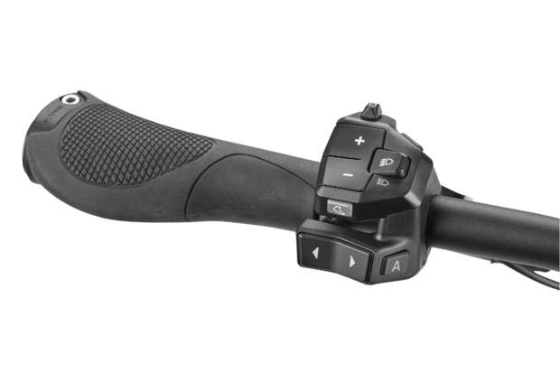 PEGASUS ESTREMO EVO 12 Lite 700 Wh  Pinion 12 Gang Damen TK